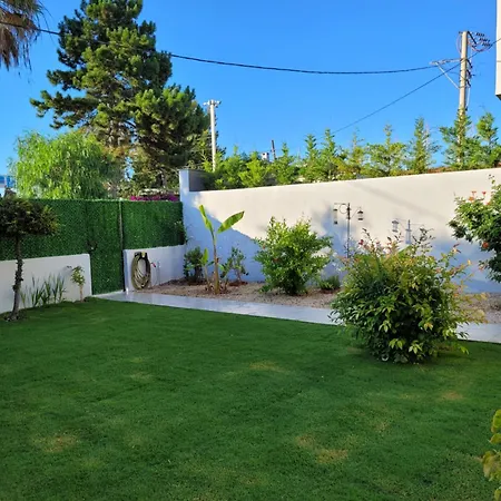 Limon çiçeği Alaçatı - Serkan's * Çeşme